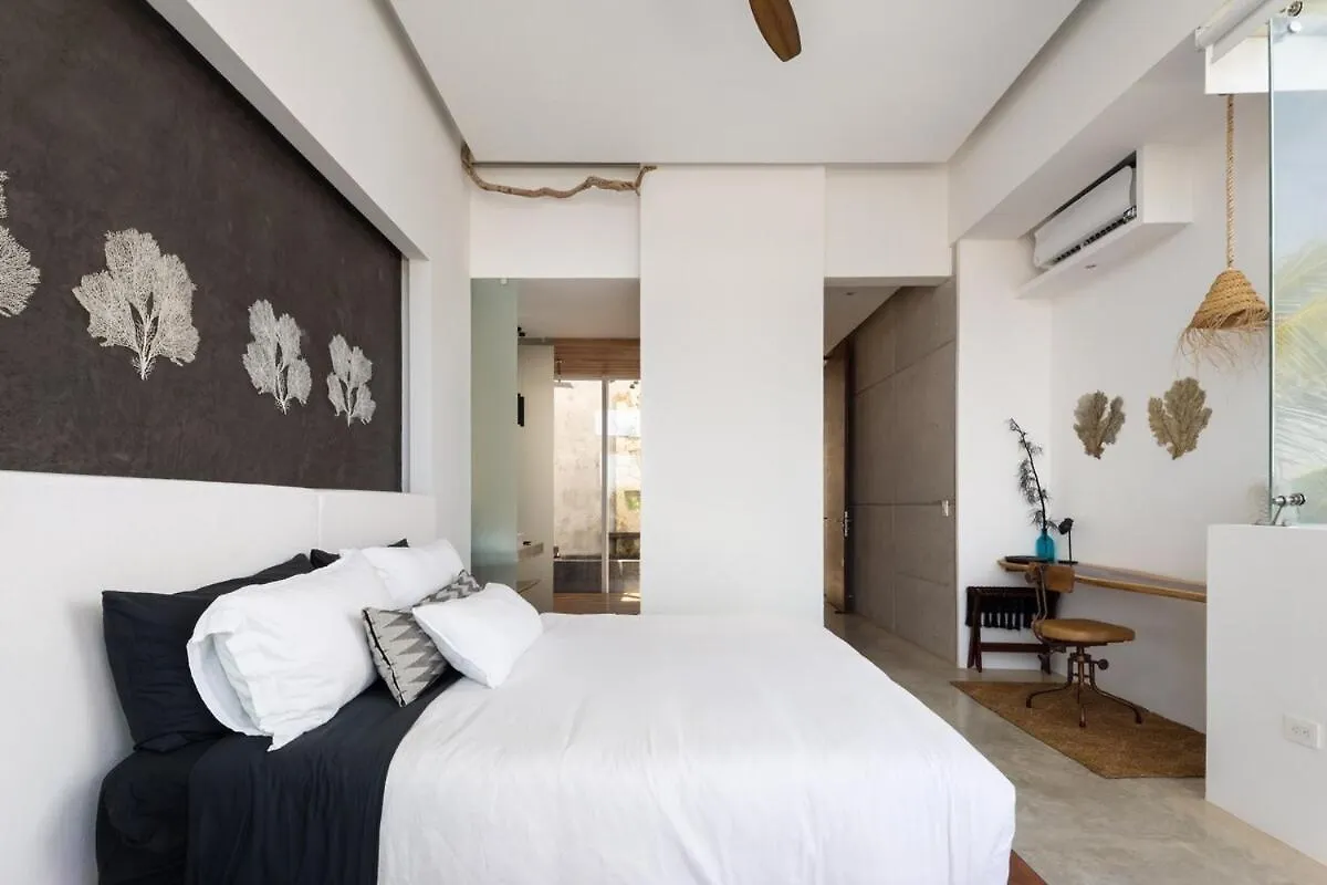 Villa Luxury Oceanfront Estate With Pool, Staff, Sleeps 24 à Tulum 0*,