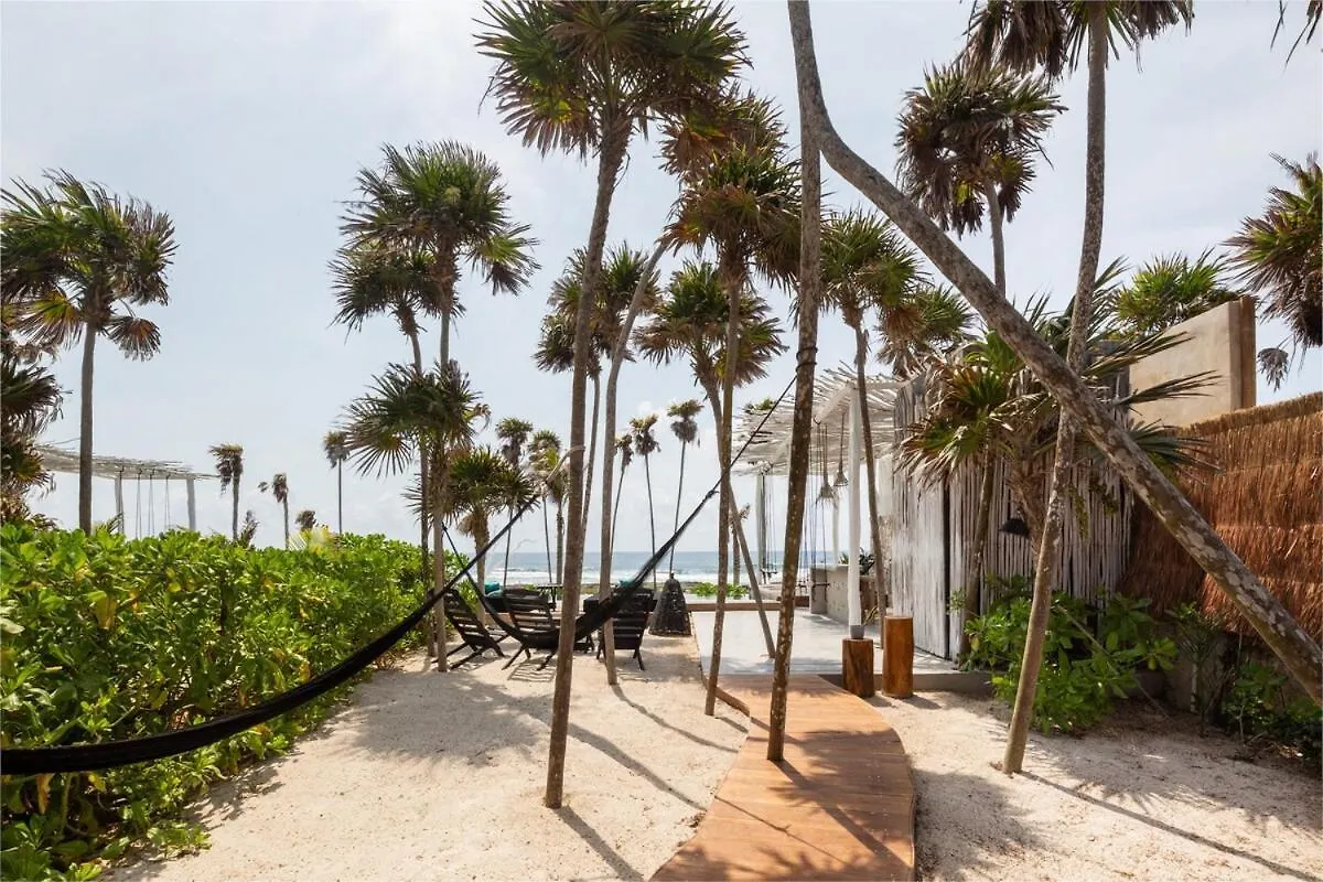 Villa Luxury Oceanfront Estate With Pool, Staff, Sleeps 24 Tulum