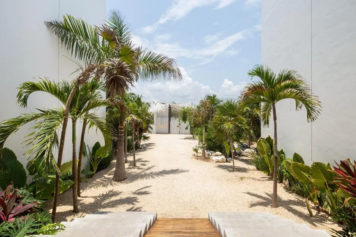 Villa Luxury Oceanfront Estate With Pool, Staff, Sleeps 24 Tulum