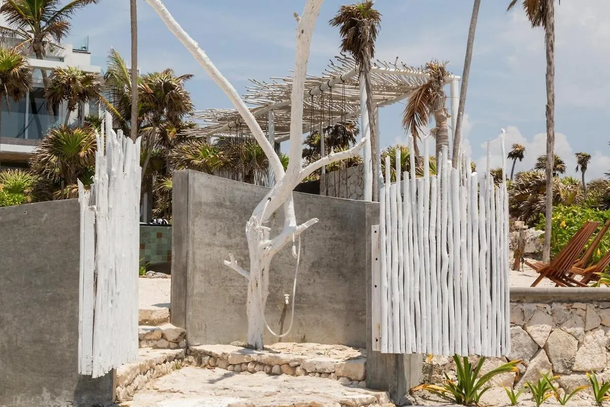 Villa Luxury Oceanfront Estate With Pool, Staff, Sleeps 24 Tulum